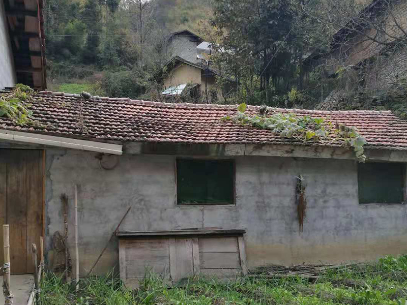 QQ圖片20181101135226